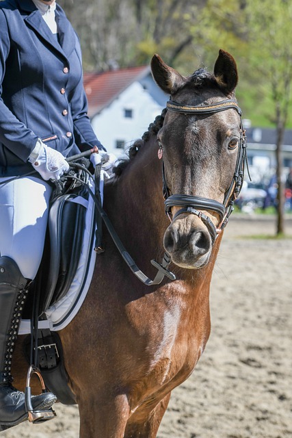 遇了瓶颈 遇了瓶颈