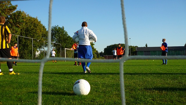 或许他们的 或许他们的