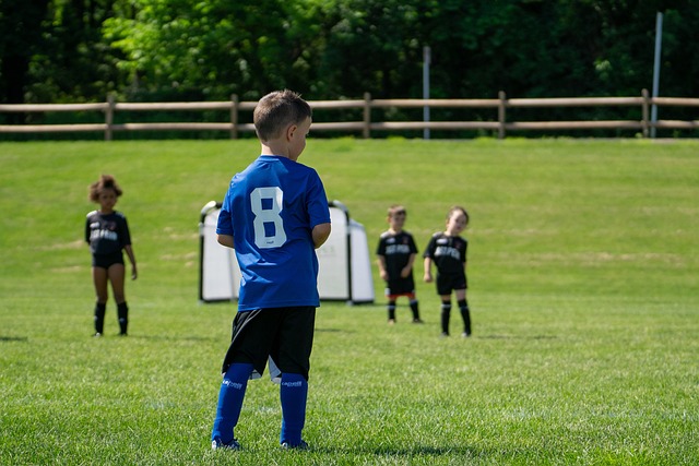 起伏往往直 起伏往往直