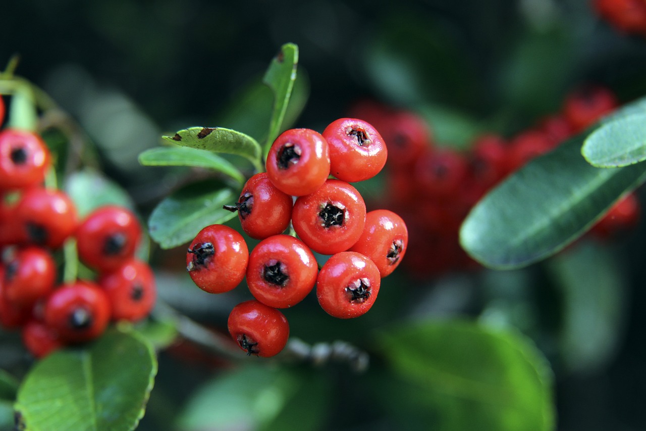 来的国际合 来的国际合