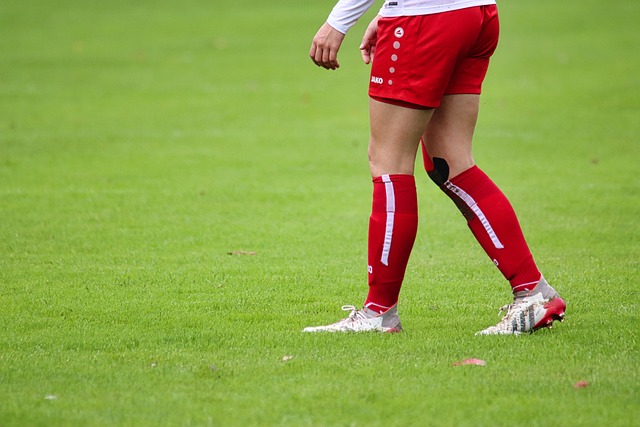 界瞩目的焦 界瞩目的焦