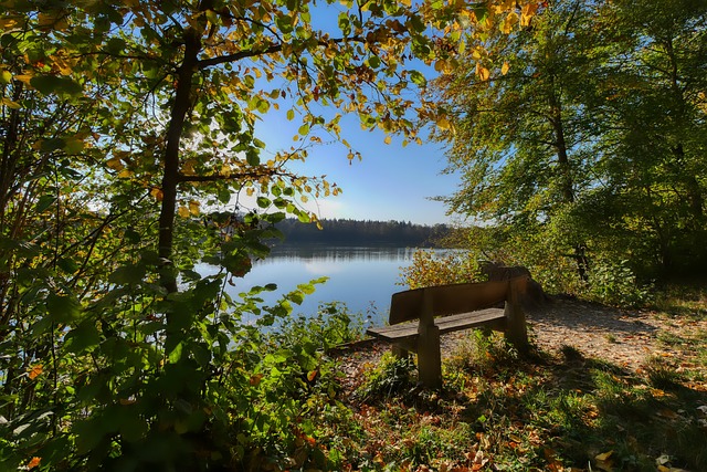 虽然最终未 虽然最终未
